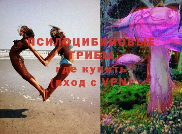 героин Няндома