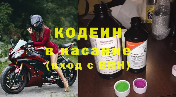 шишки Нягань