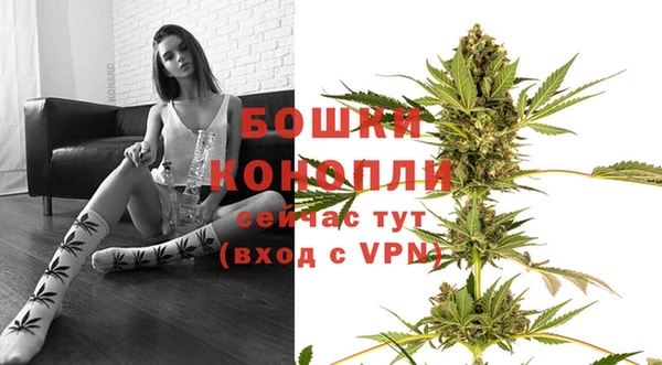 мяу мяу мука Новозыбков