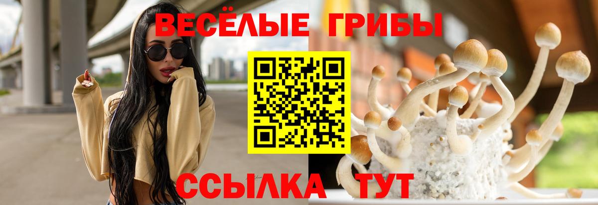 Биробиджан  Псилоцибиновые грибы ЛСД  Галлюциногенные грибы Psilocybine cubensis  Вход с VPN 