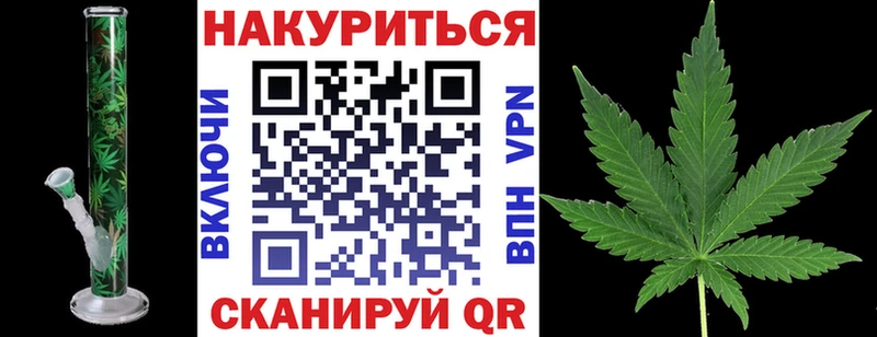 Каннабис сатива как найти наркотики Биробиджан