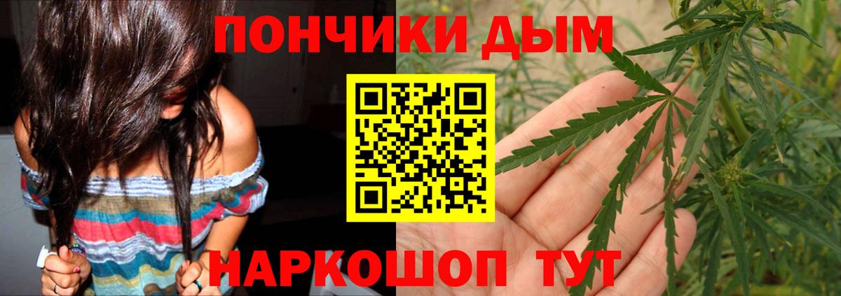 Биробиджан  Бошки марихуана сатива  Бошки Шишки Bruce Banner  Вход с VPN 